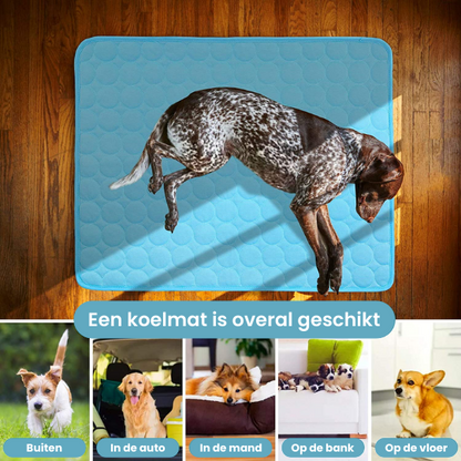 Summer Cooling Mat For Dogs and Cats